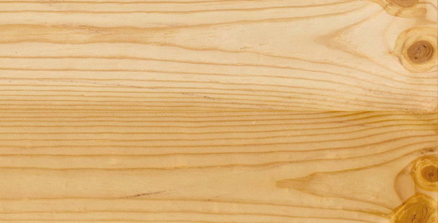 Kiefer - Holzlexikon | HolzLand